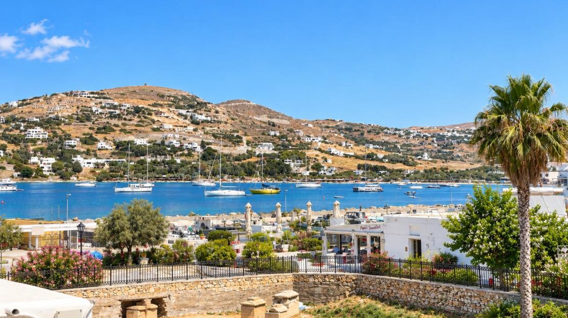 εικόνα βίντεο
